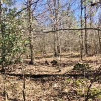 Mobile Home  24 Acres Land for Sale Lincoln County MS images 5