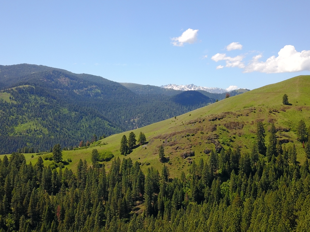 Secluded Recreational Retreat featured image