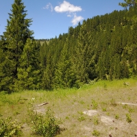 Secluded Recreational Retreat images 3