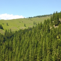 Secluded Recreational Retreat images 6