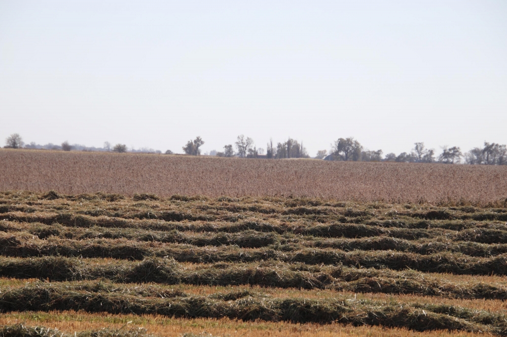 Hutchinson County Farm  amp  Hunt featured image
