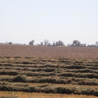Hutchinson County Farm  amp  Hunt