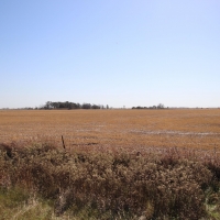 Hutchinson County Farm  amp  Hunt images 2