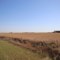 Hutchinson County Farm  amp  Hunt images 3