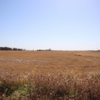 Hutchinson County Farm  amp  Hunt images 4