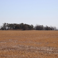 Hutchinson County Farm  amp  Hunt images 5