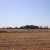 Hutchinson County Farm  amp  Hunt images 6