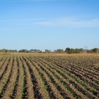 Ideker Farm  amp  Ranch