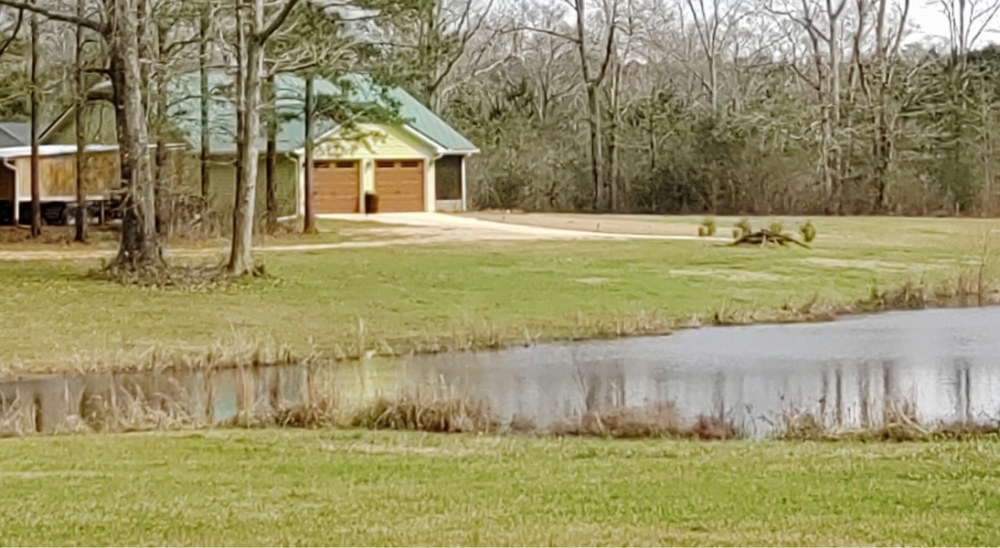 59.5 Acres with a Home in Walthall County at 107 Alexander Road in Jayess  MS featured image