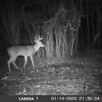 59.5 Acres with a Home in Walthall County at 107 Alexander Road in Jayess  MS images 5