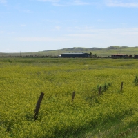 Green Ranch images 4