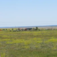Green Ranch images 5