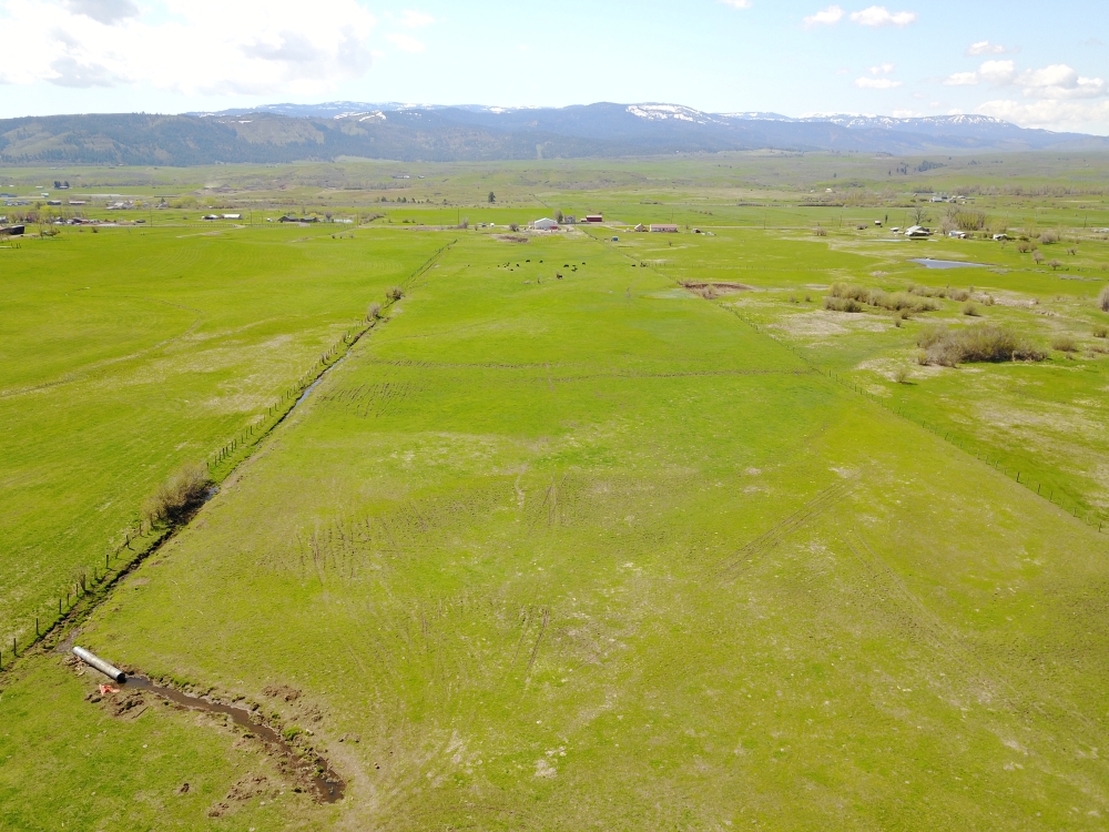 Rural Building Lot with Year-Round Creek  amp  Amazing Views featured image
