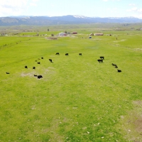 Rural Building Lot with Year-Round Creek  amp  Amazing Views images 4