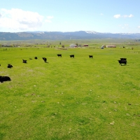 Rural Building Lot with Year-Round Creek  amp  Amazing Views images 5