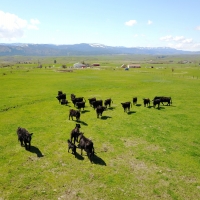 Rural Building Lot with Year-Round Creek  amp  Amazing Views images 6