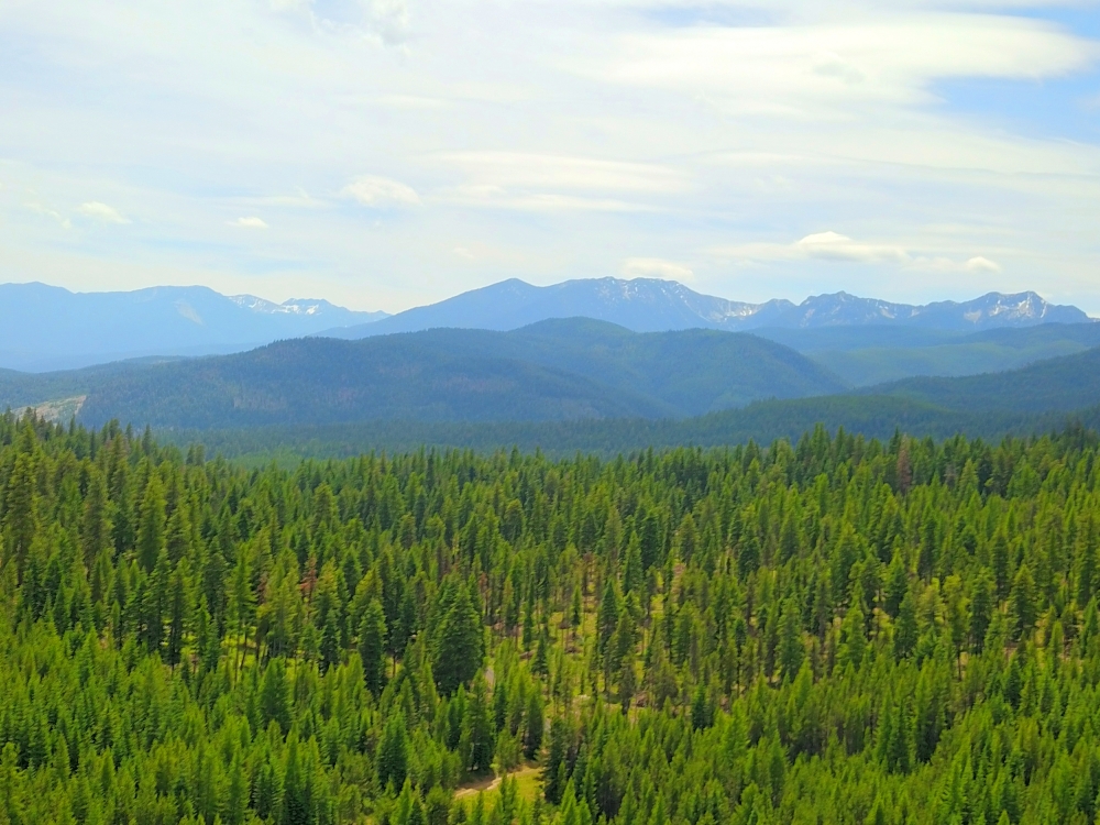 Off-Grid Private Recreational Retreat with Two Year-Round Creeks  amp  Springs featured image