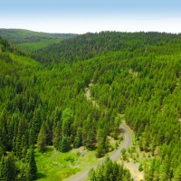 Off-Grid Private Recreational Retreat with Two Year-Round Creeks  amp  Springs images 2