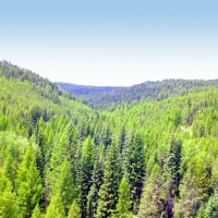 Off-Grid Private Recreational Retreat with Two Year-Round Creeks  amp  Springs images 3