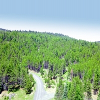 Off-Grid Private Recreational Retreat with Two Year-Round Creeks  amp  Springs images 5