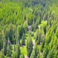 Off-Grid Private Recreational Retreat with Two Year-Round Creeks  amp  Springs images 6