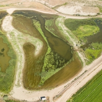Private Wetlands  amp  Hunting Ranch images 3