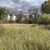 Axtell Bridge Gallatin Riverside Retreat images 2