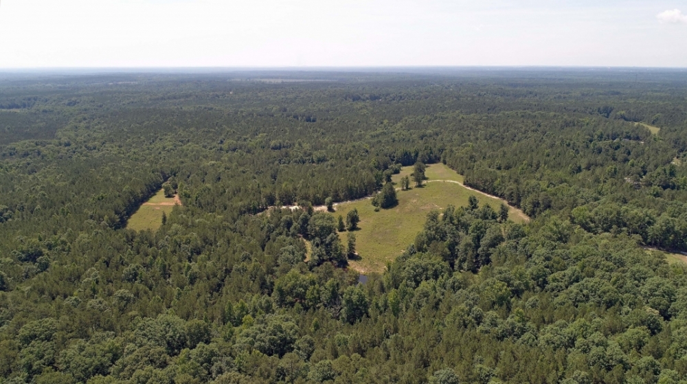 Hunting &nbsp; Recreational Ranch For Sale in Richland County  SC featured image