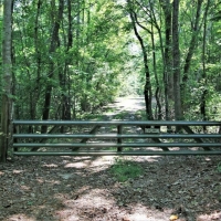 Hunting &nbsp; Recreational Ranch For Sale in Richland County  SC images 2
