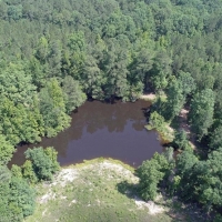 Hunting &nbsp; Recreational Ranch For Sale in Richland County  SC images 3