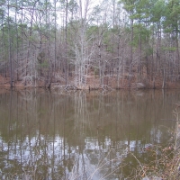Hunting &nbsp; Recreational Ranch For Sale in Richland County  SC images 6