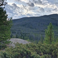 Elk Haven Meadows