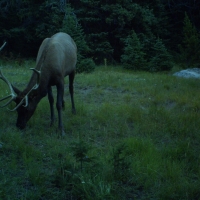 Elk Haven Meadows images 2