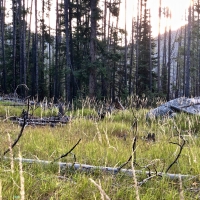 Elk Haven Meadows images 3