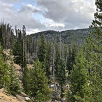 Elk Haven Meadows images 4