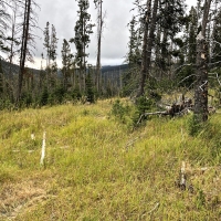 Elk Haven Meadows images 5