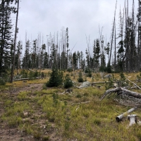Elk Haven Meadows images 6