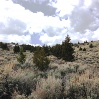 Tract 2 Valley View Highlands images 5