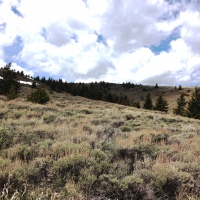 Tract 2 Valley View Highlands images 6