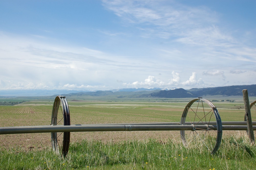 Twin Knobs Ranch featured image
