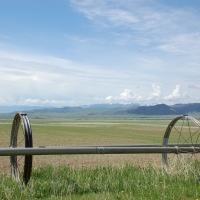 Twin Knobs Ranch