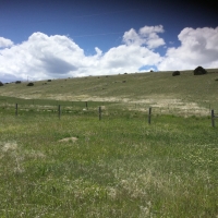 Lots 308  amp  309 Shining Mountains Unit  1 images 3