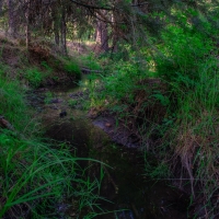 Clark Fork Legacy Ranch images 6