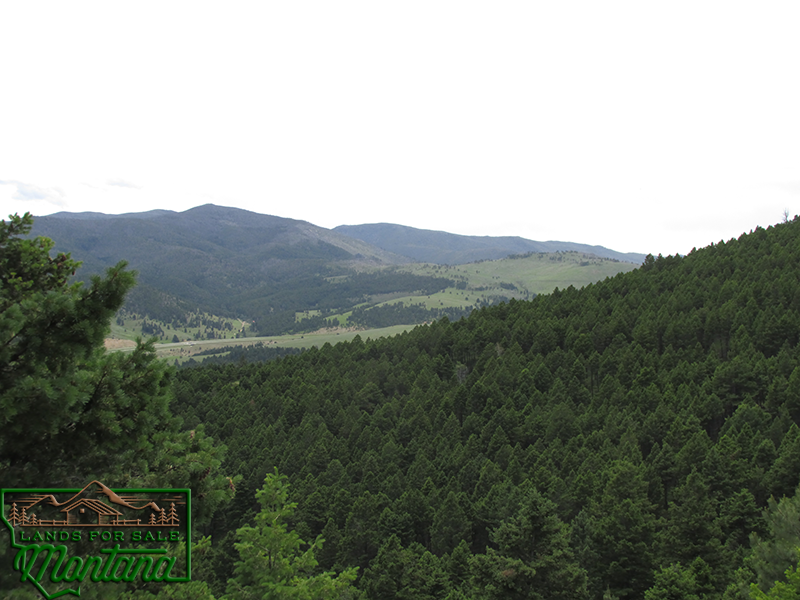Lush Meadow Surrounded by Forest - Salt Lake  20.6 Acres for  79 900 featured image