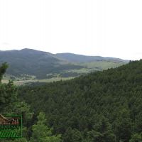 Lush Meadow Surrounded by Forest - Salt Lake  20.6 Acres for  79 900 images 1