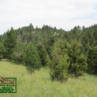 Lush Meadow Surrounded by Forest - Salt Lake  20.6 Acres for  79 900 images 4