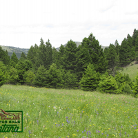 Lush Meadow Surrounded by Forest - Salt Lake  20.6 Acres for  79 900 images 2