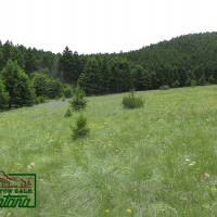 Lush Meadow Surrounded by Forest - Salt Lake  20.6 Acres for  79 900 images 3