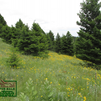 Lush Meadow Surrounded by Forest - Salt Lake  20.6 Acres for  79 900 images 6