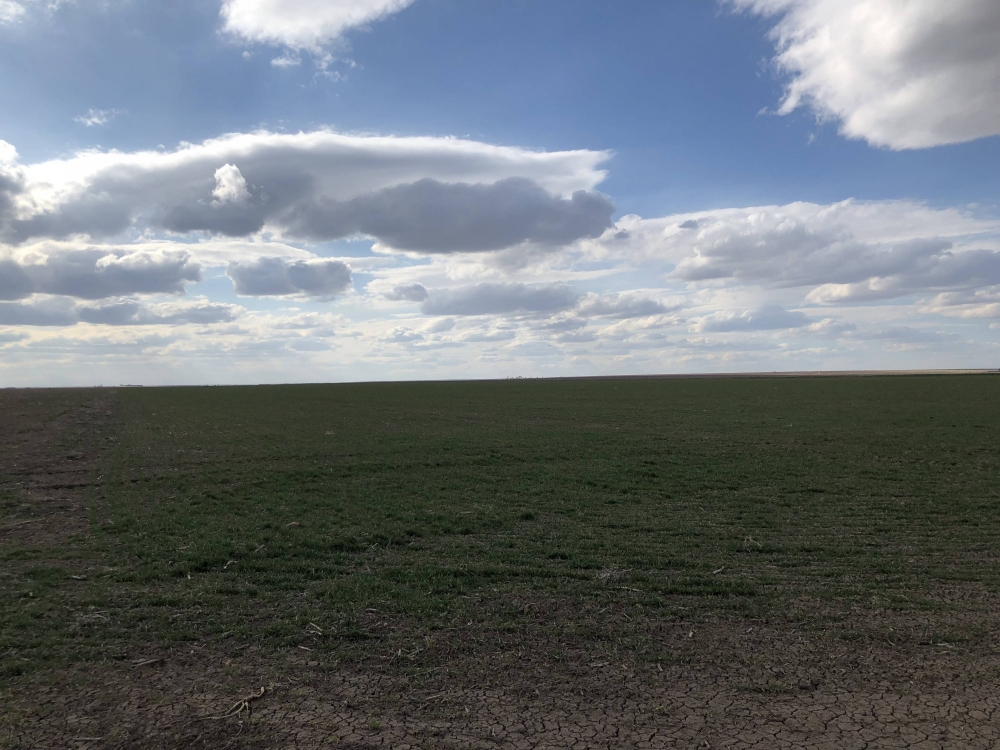 Grant County Cropland featured image